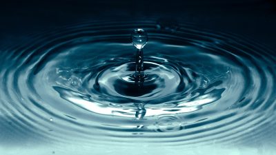 CIO Chartbook: Reversal?